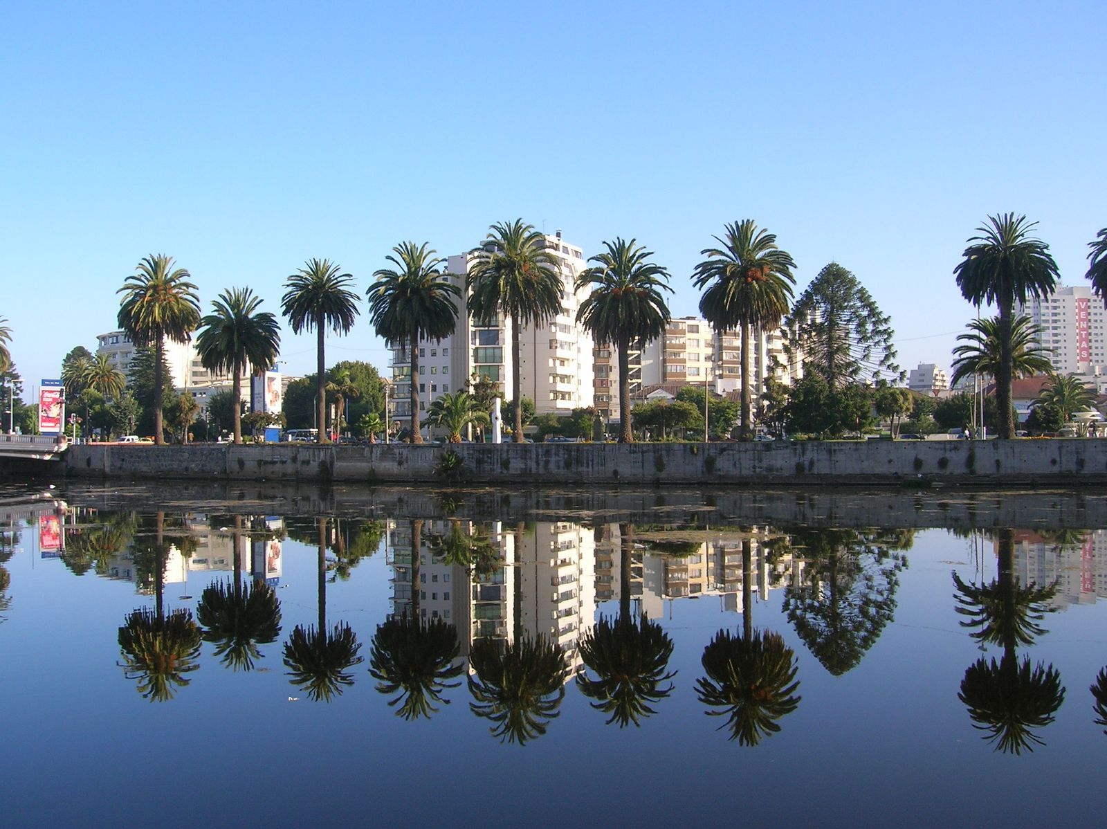 Rent a Car - Viña del Mar