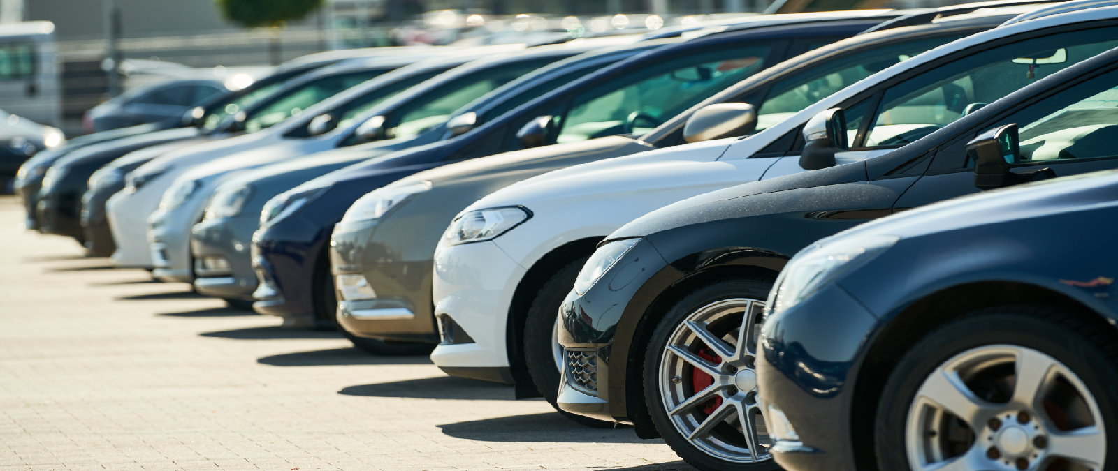 Arriendo de auto Económico La Serena